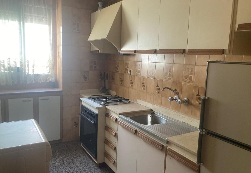 WhatsApp Image 2025-09-11 at 12.11.06