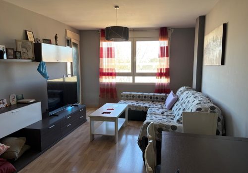 WhatsApp Image 2026-03-16 at 13.02.02 (1)