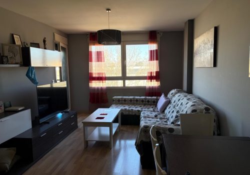 WhatsApp Image 2026-03-16 at 13.02.02