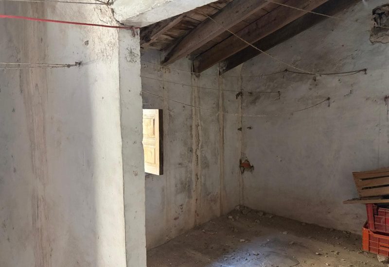 WhatsApp Image 2026-04-08 at 11.36.29