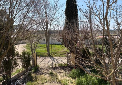 WhatsApp Image 2026-04-10 at 19.24.49 (19)